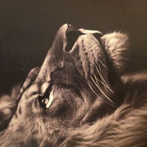 lululemon athletica Women's Blush Precocious Pink Citiverse Sneakers